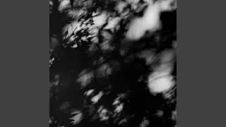 Farewell Shadows