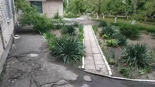 как весело лежать в больнице #больница #жесть