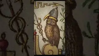 Weird Medieval Animal Paintings #historyart #art #painting #arthistory