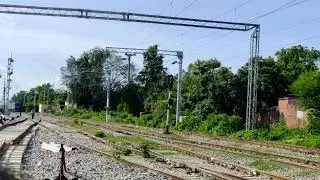 Wag 12 60035 with bcnhl rake