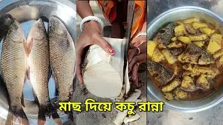 মাছ আর কচু দিয়ে অসাধারণ রান্না | গ্রাম্য স্টাইল | হোমমেড ফিশ কারি  #recipe #cooking #vairl 