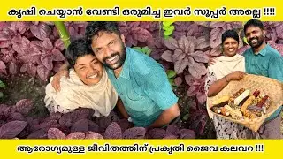 കൃഷി ചെയ്യാൻ വേണ്ടി ഒരുമിച്ച ഈ ദമ്പതികൾ സൂപ്പർ ആണ് | പ്രകൃതി ജൈവ കലവറ | Shyju Vlogger | Alappuzha 