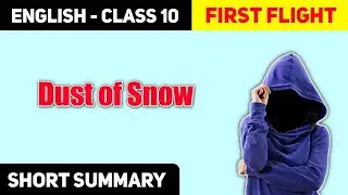 Dust of Snow Summary in Hindi Class 10th |First Flight Book Summary