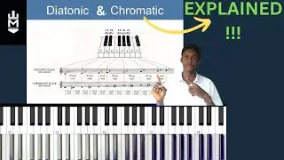 The Chromatic & Diatonic scale