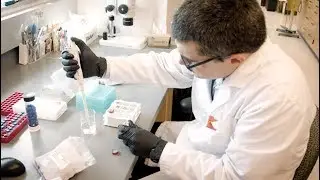 STEM at the FBI Laboratory Division