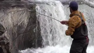 Fresh Atlantic Salmon from Horstad falls - Åelva, Horstad Gård 2018 - Salmonfishing Norway