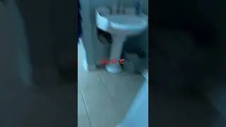 Scp 153 😱🪱