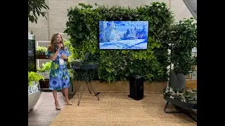AIA 2025: The Biophilic Brain&trade;: Designing Awe into Every Square Foot