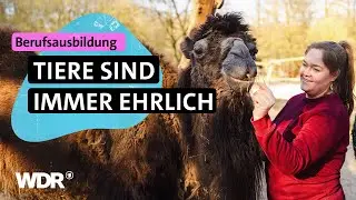 &bdquo;Wenn Kamele Mais sehen, dann sehen sie rot