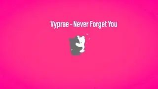 [OMFG Style] Vyprae - Never Forget You BASS