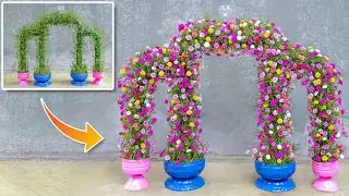 Recycle Plastic Bottles into Beautiful Moss Rose Flower Fence | Garden Creative
