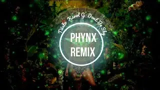 Ti&euml;sto & Karol G - Don't Be Shy ( PHYNX Remix )