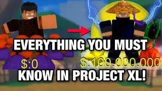 EVERYTHING YOU MUST KNOW! Project XL