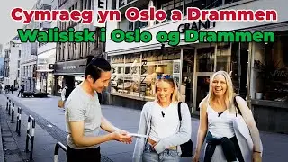 Насколько хорошо люди в Осло и Драммене знают валлийский язык?