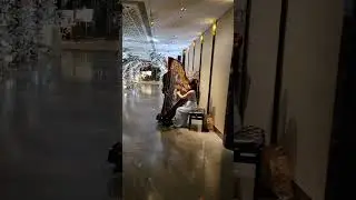 Harp in Wedding reception @Ritz Carlton Diamond Hall