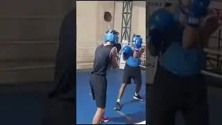 Boxing's Most INSANE Moments