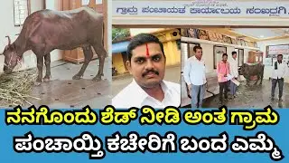 Chikkodi: ಪಂಚಾಯತ್ ಆಡಳಿತ ವ್ಯವಸ್ಥೆ ವಿರುದ್ಧ ಸ್ಥಳೀಯರ ಆಕ್ರೋಶ | Buffalo | Panchayat System |Sanjevani News