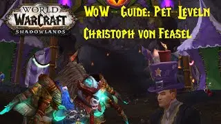 WoW-Guide: Pet-Leveln mit Christoph von Feasel