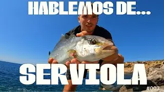 Hablemos de... SERVIOLA // Episodio 003