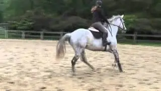 Einstein Jumping