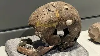 National Museum of History - Vietnam 2023