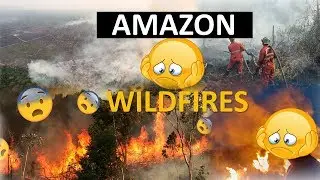 AMAZON RAINFOREST WILDFIRES | BRAZIL