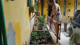 Olha como ficou o jardim #jardimemcasa #flores #adubacão #marciabartoluzzi