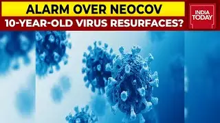 Alarm Over NeoCoV: Experts Say No Human Transmission Of NeoCov Variant Yet