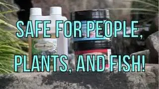 Water Treatment Trifecta