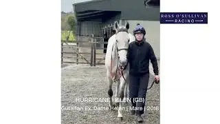 Hurricane Helen (GB) - HORSE IN TRAINING - Gutaifan (IRE) ex Dame Helen (GB)