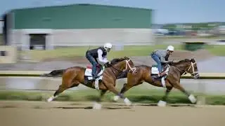 Belmont Stakes: Mo Donegal and Nest Work on June 4, 2022