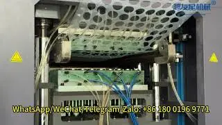 Boost Your Profit Margins: 60,000 PP Cups Per Hour with Our Large-Format Thermoforming Machines