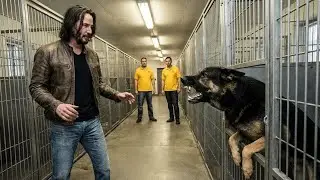 Keanu Reeves Trifft Einen Pensionierten Polizeihund — Was Er Als Nächstes Tut Schockiert Alle