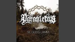 Se Guds Lamm (A.D. 2018)