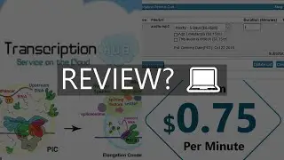 transcription hub review  can you really earn an income with this website