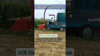 ACE Tractor Drive Mini 2 Row Green Feed Forage Harvester