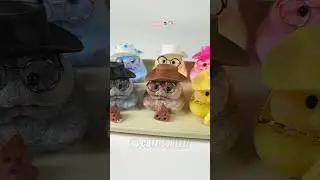 So cute the coffee hamster squishy #squishy #hamsters #cute #kawaiiaesthetic #satisfying