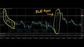 BackTest forex market events and sentiments