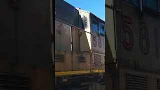 Adventure with Star #starlingrimes #trainsofpnw #short #railroadphotography #unionpacific #vancouver