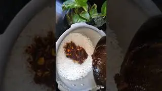 MTR Puliogare #puliogare #cook #homemade #mtr #foodcook #rice #instant #food #easyrecipe #recipe