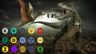 Historical Support Of Altcoin Dominance