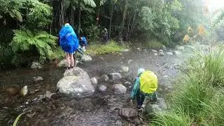 Waitawheta Hut to Waitengaue Stream, Kaimai Mamaku Conservation Park, New Zealand