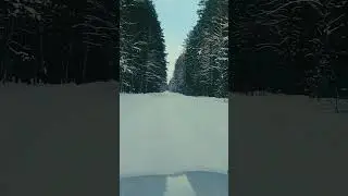 Цой жив