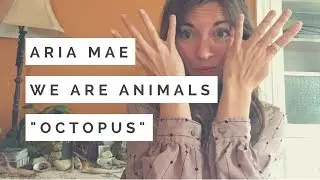 Octopus Totem - Spirit Animal Guided Meditation #5