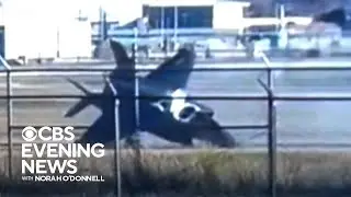 Watch the dramatic moment that a pilot escapes crash landing