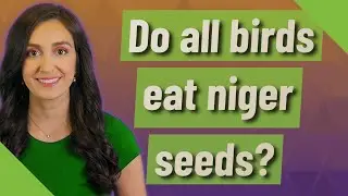Do all birds eat niger seeds?
