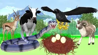 Giant Crow and Snake Fight for Eggs Animal Revenge Stories Wild Animal Fights Crow Snake Fight Story