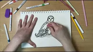 How to Draw an Owl | Easy Step-by-Step Drawing Tutorial for Kids & Beginners