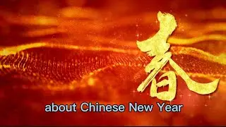 Fun facts about Lunar New Year 2024 ~ A year of wood dragon