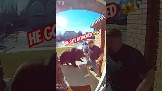 Jake Paul Got Attacked By a Bear 🐻 | #comedy #youtubeshorts #funny #ai